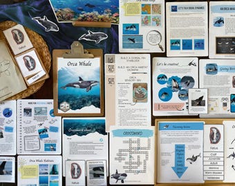 May include: A colorful educational resource for learning about orca whales. The resource includes a variety of activities, such as a crossword puzzle, a life cycle diagram, and a habitat building activity. The resource also includes a close-up image of an orca whale.
