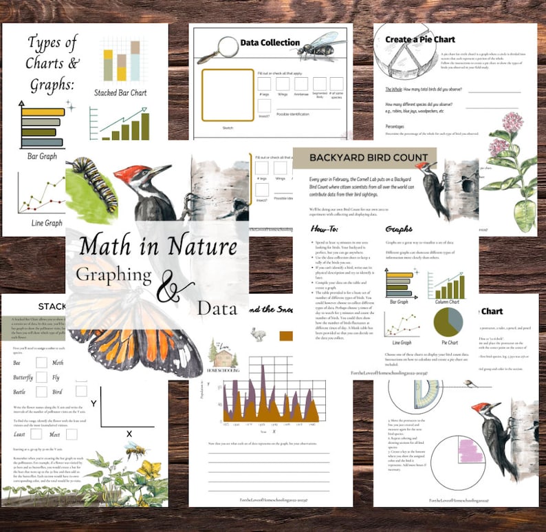 May include: A set of printable worksheets for teaching math concepts using nature. The worksheets feature illustrations of butterflies, birds, bees, and other natural elements. The worksheets include activities such as creating bar graphs, line graphs, pie charts, and data collection tables. The text on the worksheets includes titles such as 'Types of Charts & Graphs', 'Math in Nature Graphing & Data', 'Data Collection', 'Create a Pie Chart', 'Backyard Bird Count', 'Hour-To', 'Graphs', 'Chart', and 'and the Snow'. 