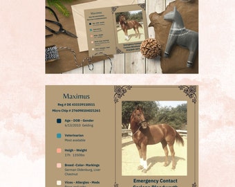 Stall Emergency Card, Digital Template, Easy to Edit. Beautiful Valentines Day gift for horse lover. Customizable, make it your own.