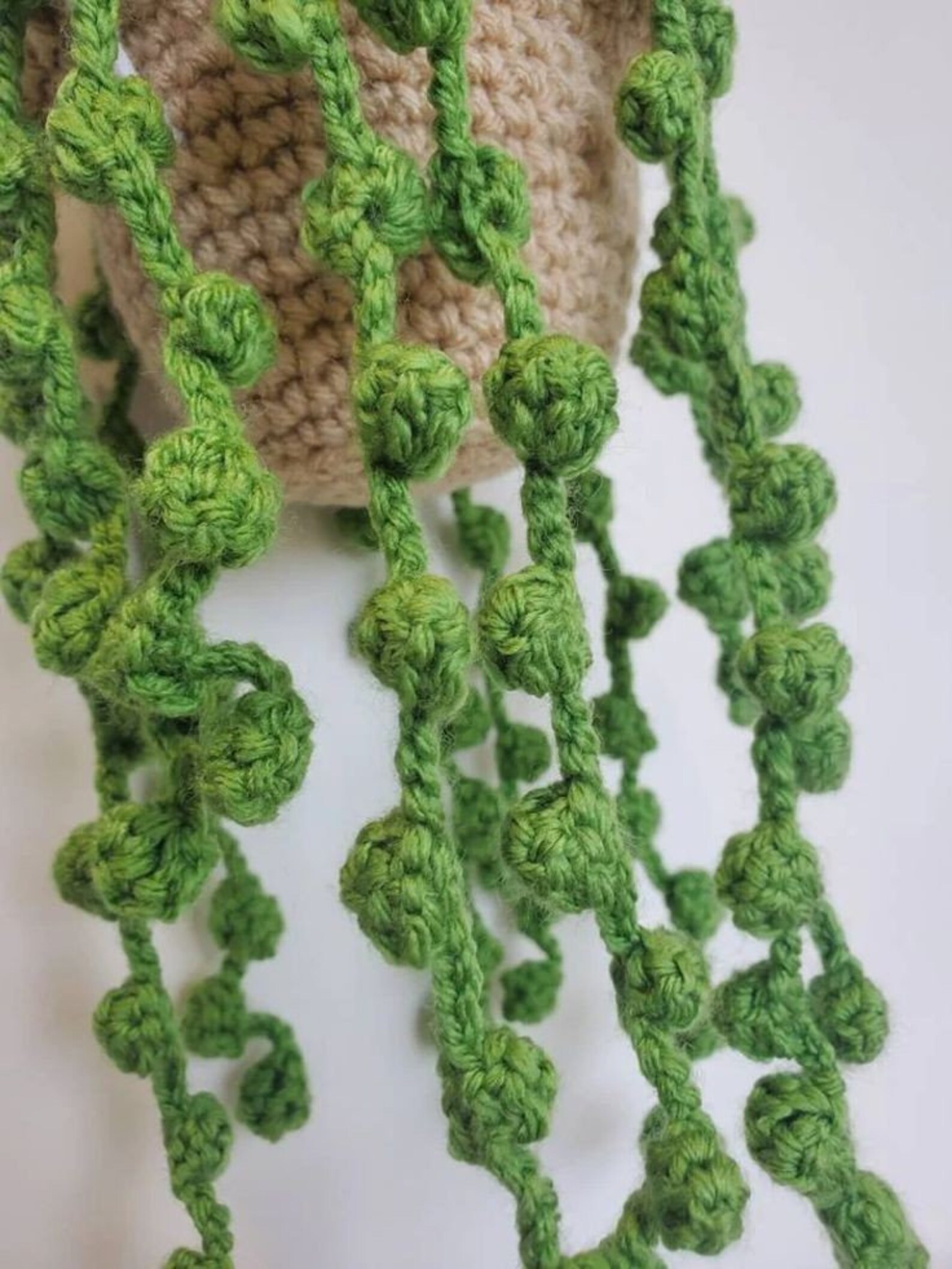 Cute Crochet Hanging Plant String of Pearls Succulent Car Etsy