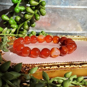 May include: A bracelet made of polished, round, orange-red carnelian beads. The bracelet is presented on a pink surface within a gold-coloured decorative frame, with green foliage surrounding it.