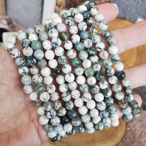 Natural Tree Agate Bracelet, Tree Agate, Crystal Bracelet, Beaded Bracelet, Natural Tree Agate, Energy Bracelet, Protection image 4
