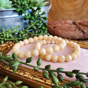 May include: Two beaded bracelets with a creamy, off-white color are displayed on a pink surface within a gold-colored frame. Green leafy plants and a small metal bucket with greenery are in the background, creating a natural aesthetic.