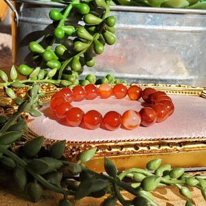 May include: A carnelian beaded bracelet with a mix of solid and translucent orange beads. The bracelet is displayed on a pink surface within a gold-coloured frame, with green foliage in the background. The beads are approximately 1 cm in diameter.