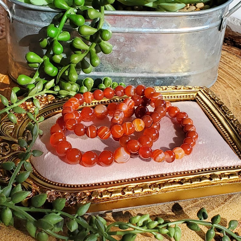 May include: Three bracelets made of orange and white agate beads. The bracelets are displayed on a pink velvet surface inside a gold-framed tray. The background includes a metal container with green plants and additional greenery.