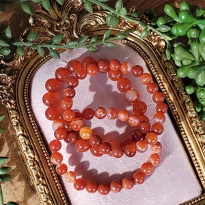 May include: Three bracelets composed of orange-red gemstone beads. The bracelets are presented on a pink surface within a gold ornate frame. Green foliage in the background adds a natural element to the composition.