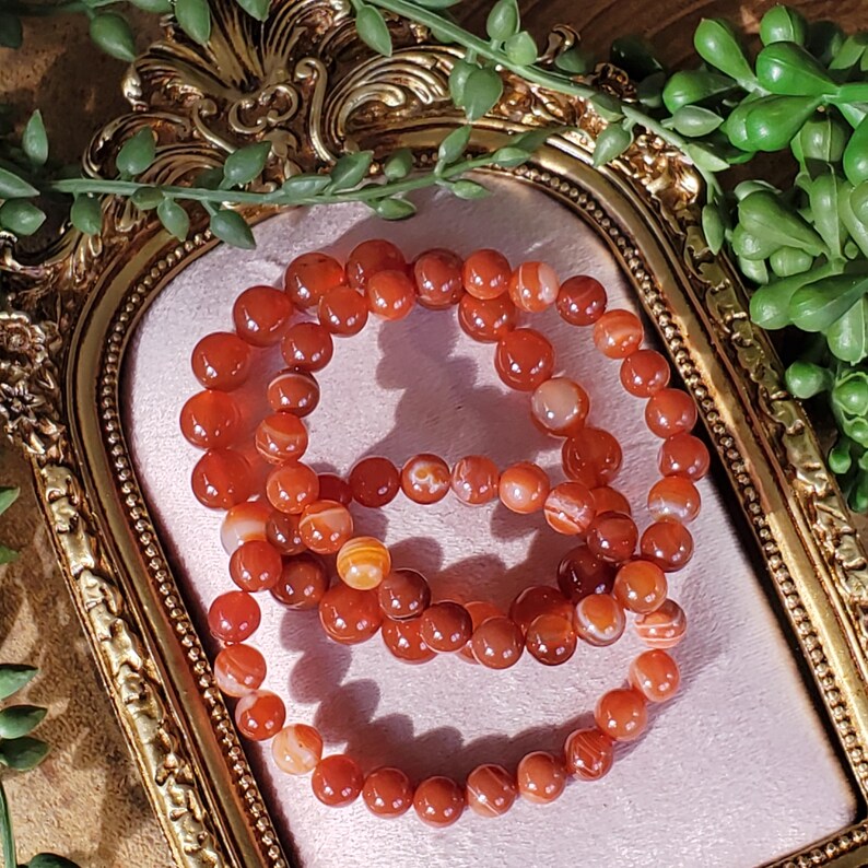 May include: Three bracelets composed of orange-red gemstone beads. The bracelets are presented on a pink surface within a gold ornate frame. Green foliage in the background adds a natural element to the composition.