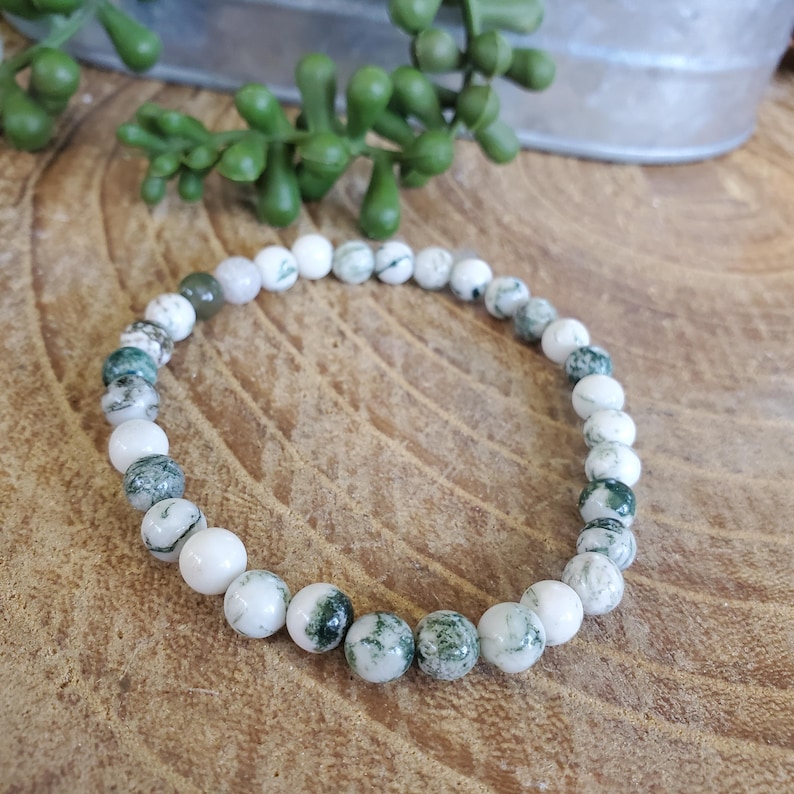 Natural Tree Agate Bracelet, Tree Agate, Crystal Bracelet, Beaded Bracelet, Natural Tree Agate, Energy Bracelet, Protection image 8