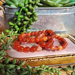 May include: Three bracelets made of polished, round, orange-red beads. The bracelets are resting on a pink surface inside a gold-coloured, ornate frame. Green plants and a silver bucket are in the background.