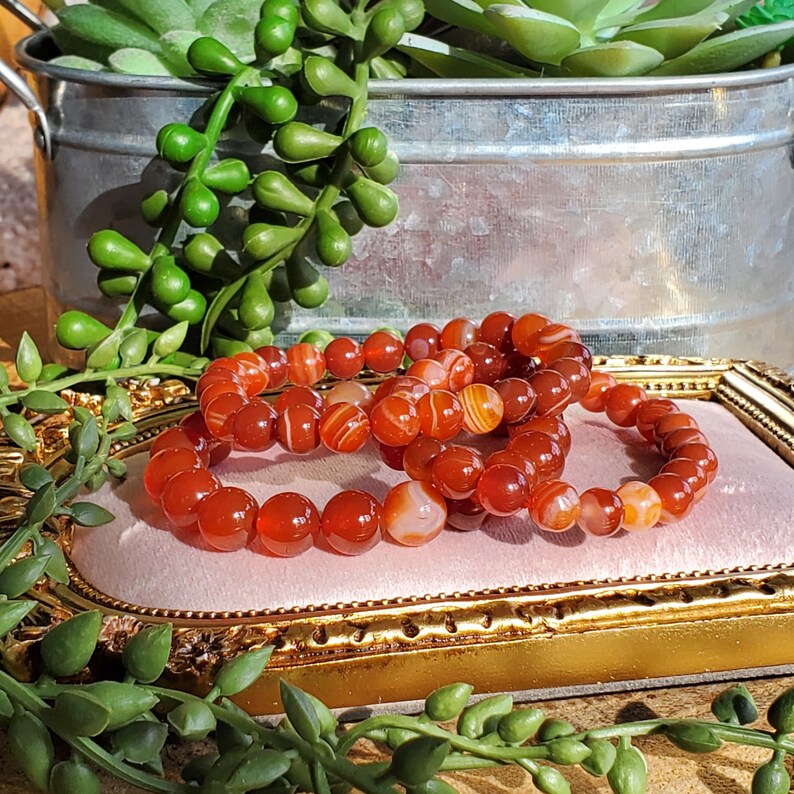 May include: Three bracelets made of polished, round, orange-red beads. The bracelets are resting on a pink surface inside a gold-coloured, ornate frame. Green plants and a silver bucket are in the background.