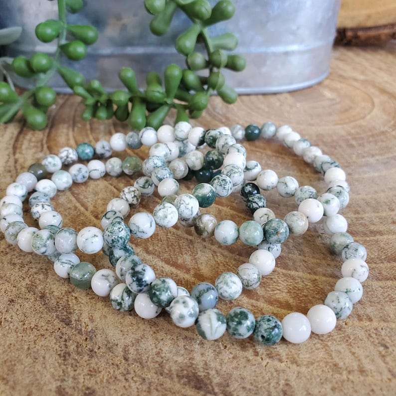 Natural Tree Agate Bracelet, Tree Agate, Crystal Bracelet, Beaded Bracelet, Natural Tree Agate, Energy Bracelet, Protection image 1