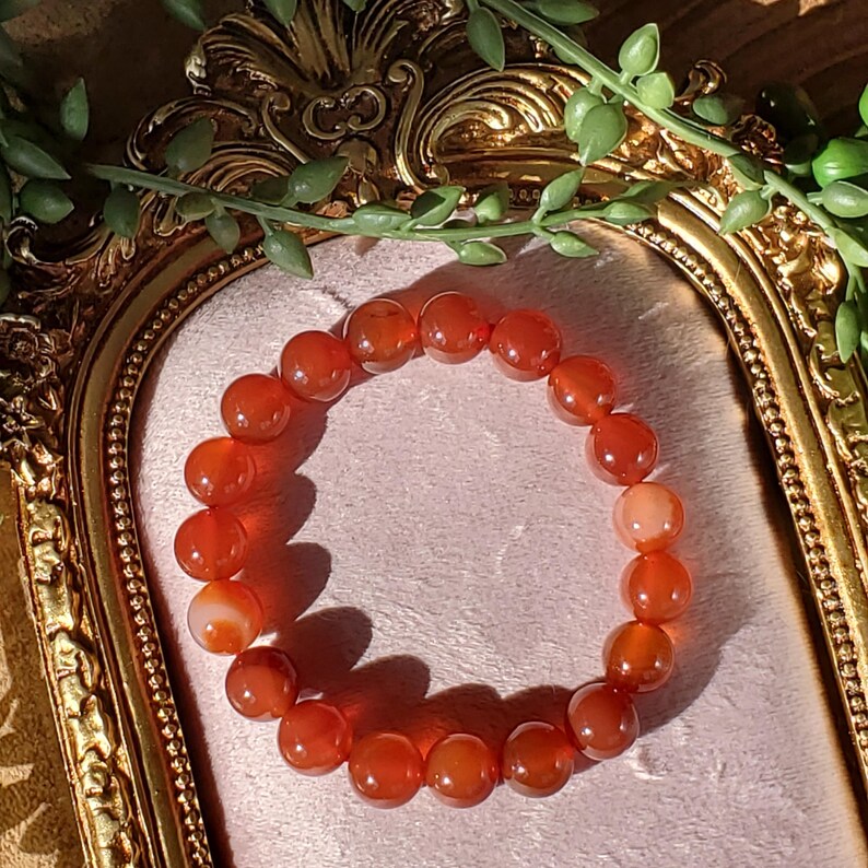 May include: A bracelet composed of orange-red, spherical gemstone beads. The beads are strung together, forming a circular shape. The bracelet is presented on a pink surface, with a gold-coloured ornate frame and green foliage in the background.