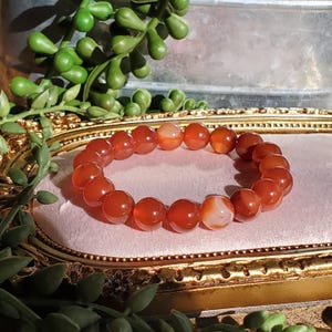 May include: A bracelet composed of polished, round, orange-red carnelian beads. The beads are strung together, creating a circular form. The bracelet is presented on a pink surface within a gold-coloured frame, with green foliage in the background.