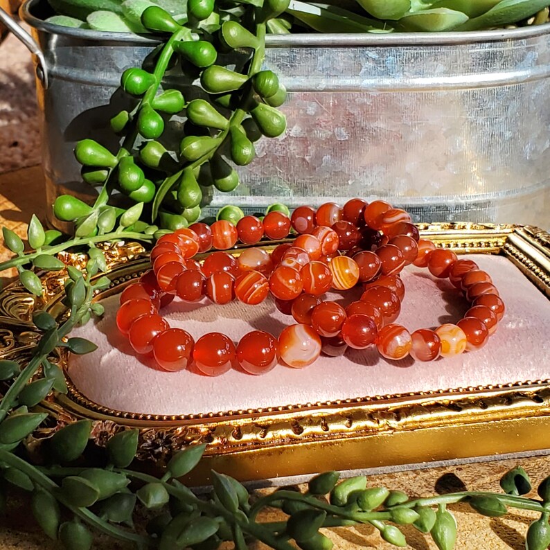 May include: Three bracelets of polished, round, orange-red beads. The beads have a marbled appearance with white and orange striations. The bracelets are displayed on a pink surface within a gold-coloured frame, with greenery in the background.