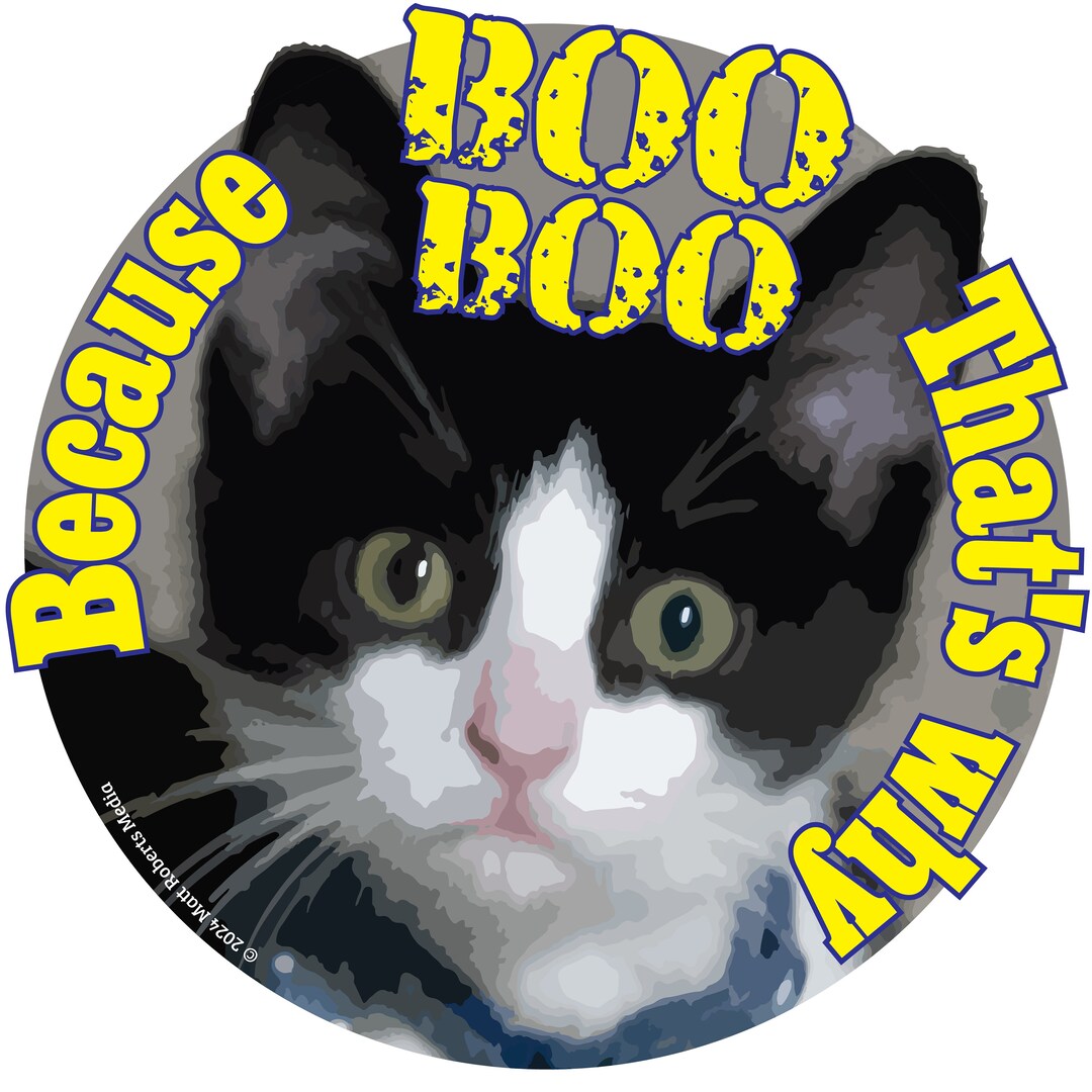 Because Boo Boo...that's Why! Sticker. Celebrate Kitty Power! - Etsy