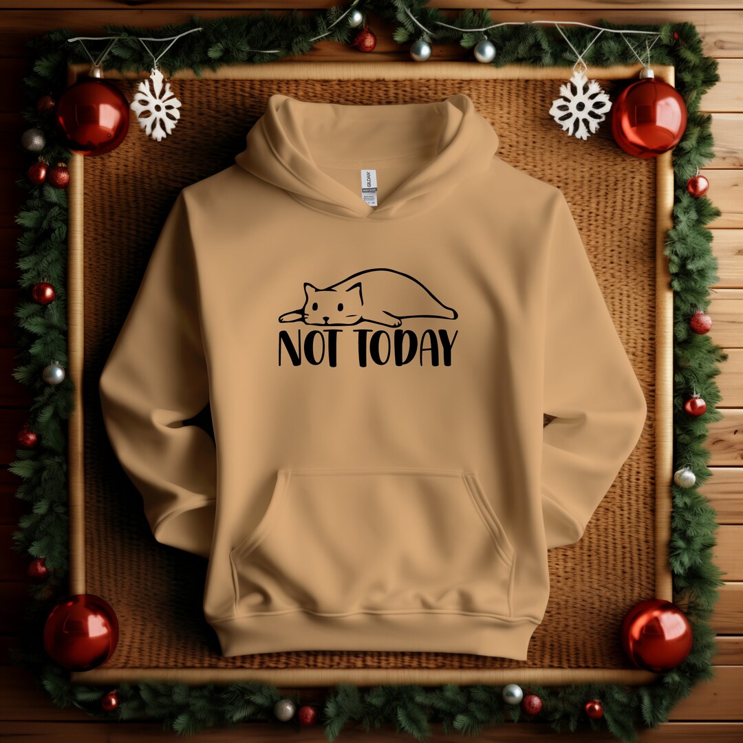 Not Today Hoodie, Not Today Cats Hoodie, Lazy Cat Hoodie, Sarcastic Hoodie, Cute Cat Hoodie