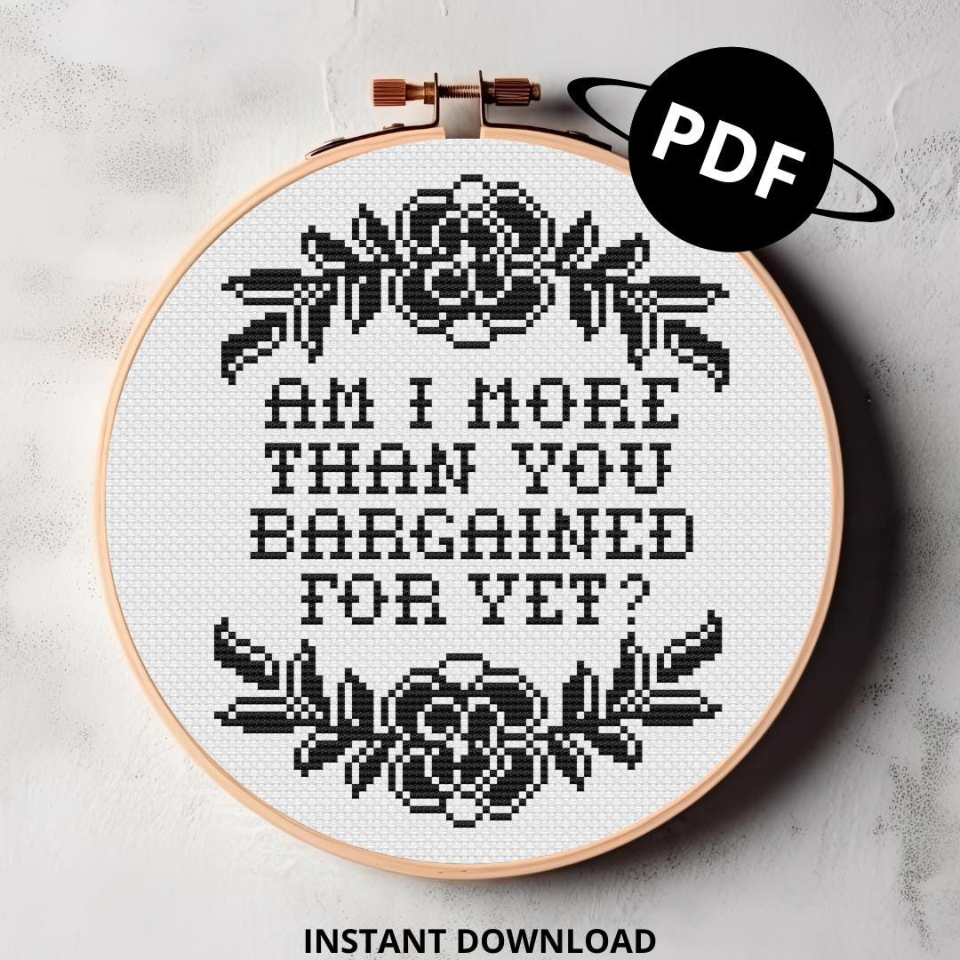 Am I More Than You Bargained for yet Cross Stitch Digital Pdf Pattern
