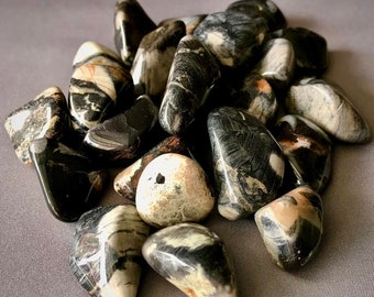 Silver Leaf Jasper