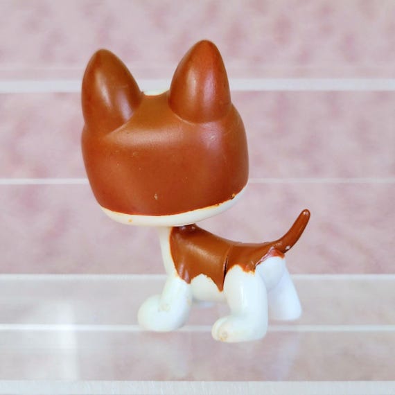 Doberman lps outlet