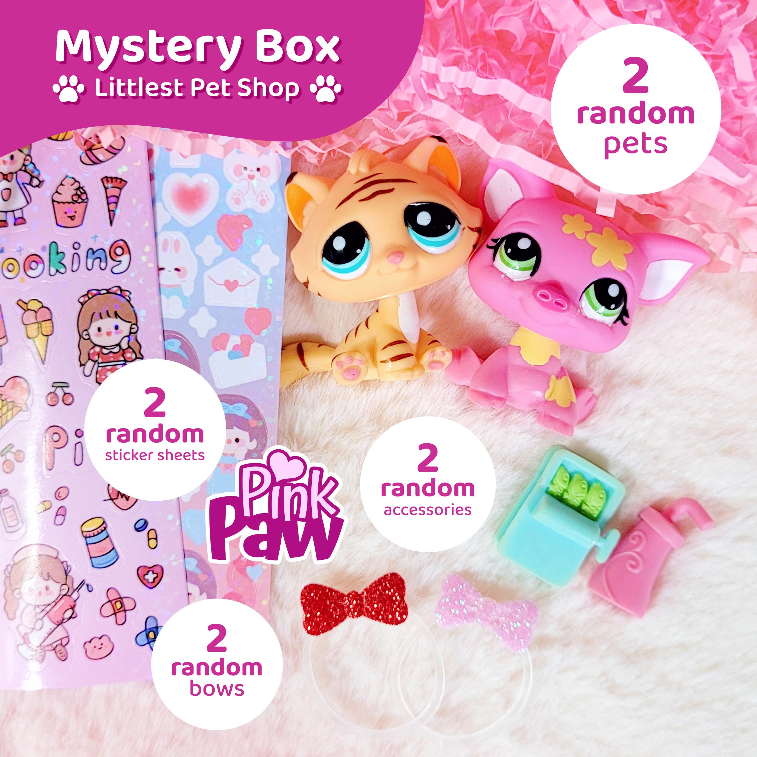 Mystery Box LPS Littlest Pet Shop Set of RANDOM Pets and More