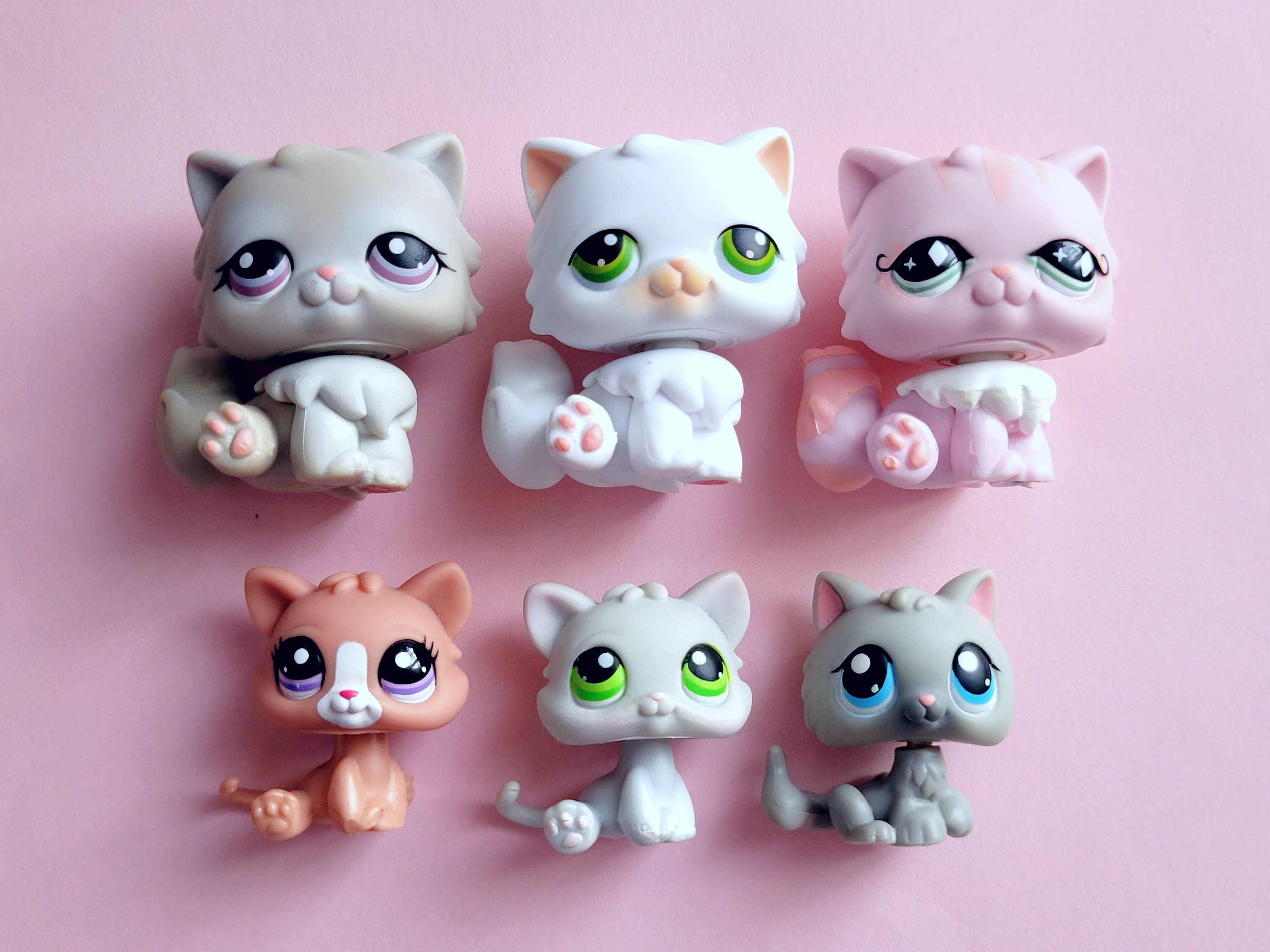 Littlest Pet Shop N°72 - Chat Européen Authentique HASBRO (occasion)