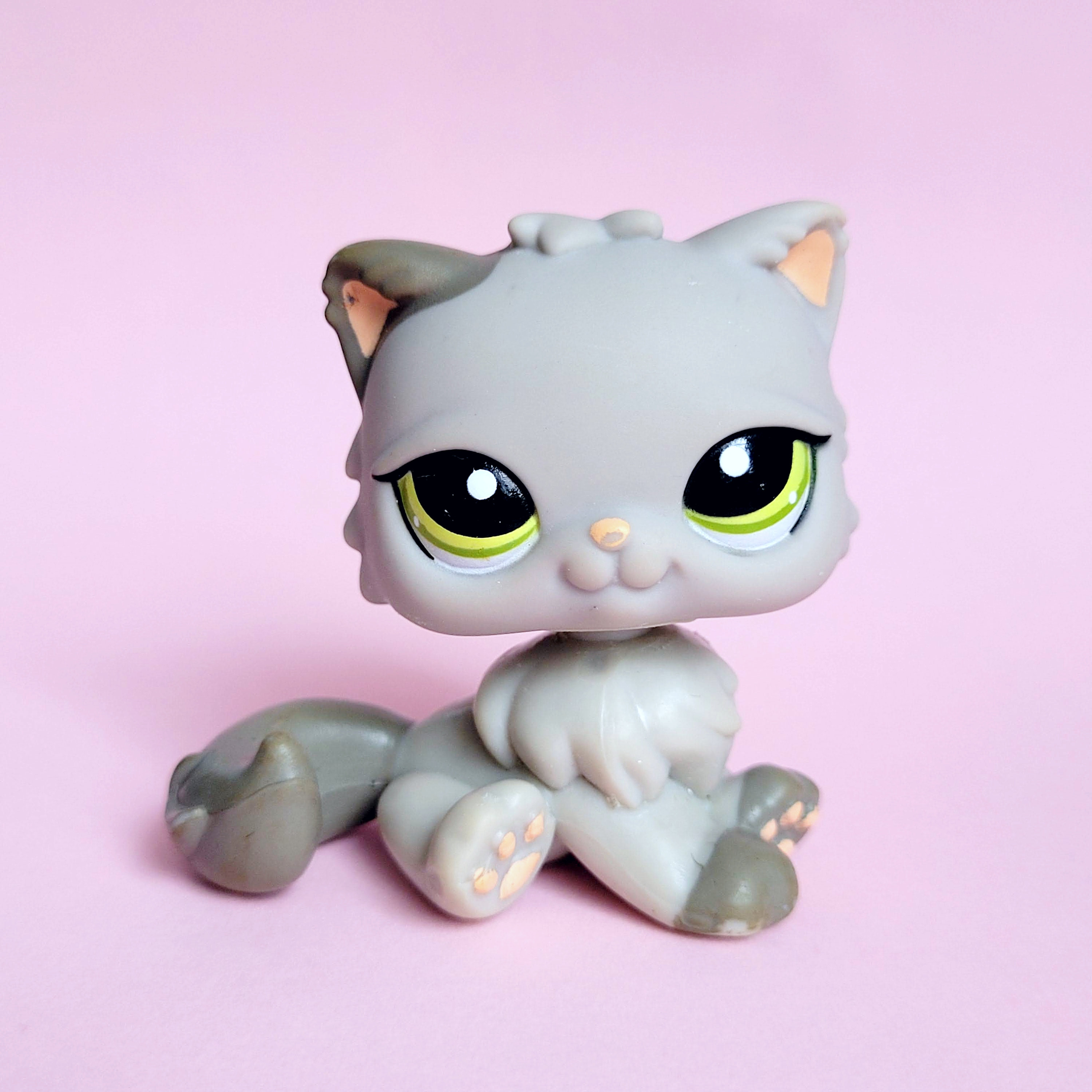 LPS 3561 Littlest PetShop Original Hasbro - Chat Persan Authentique