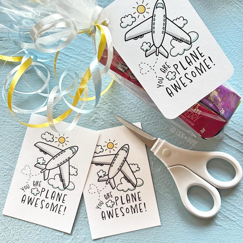 K&ouml;nnte beinhalten: Zwei wei&szlig;e Geschenkanh&auml;nger mit einer Schwarzwei&szlig;illustration eines Flugzeugs, das in den Wolken fliegt. Der Text auf den Anh&auml;ngern lautet "You are plane awesome!"
