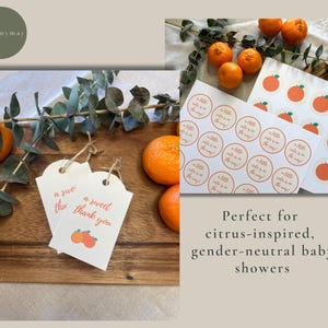 May include: Baby shower supplies with oranges, eucalyptus, and tags. The tags say "a sweet thank you" and have orange illustrations. Stickers with orange graphics and the text "a little cutie is on the way" are also shown.