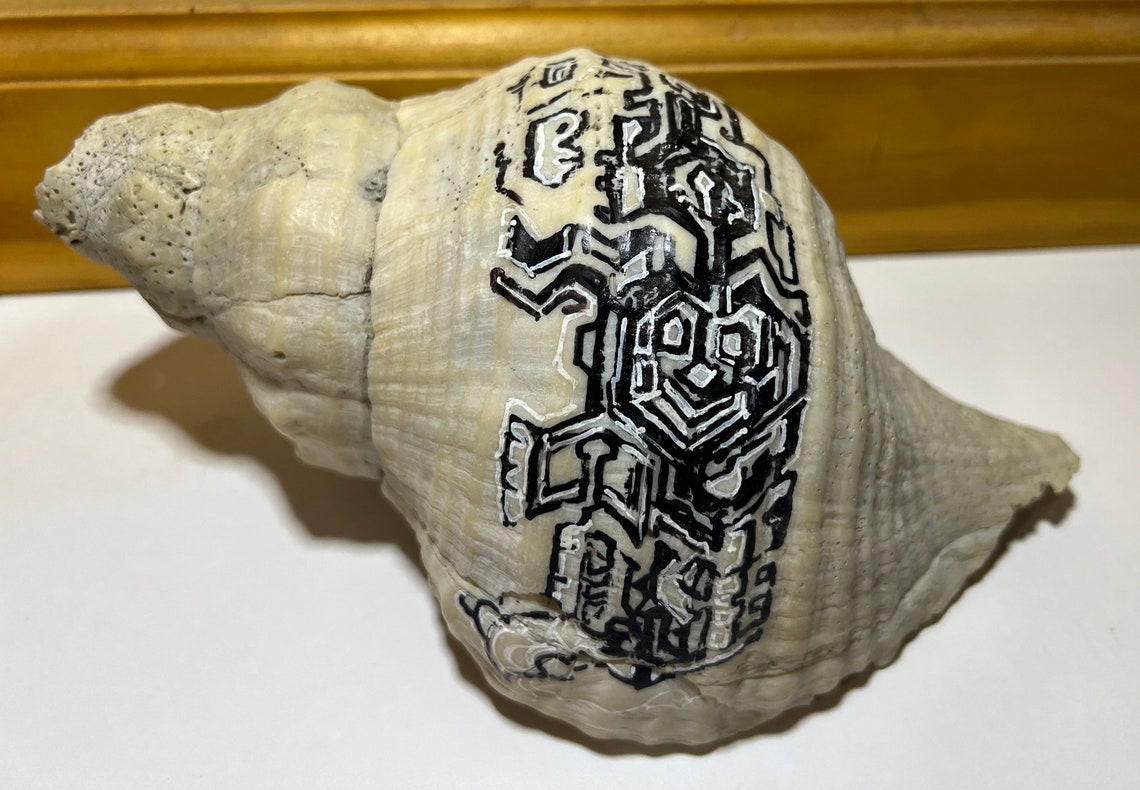Ancient Peruvian Nazca Shell 10x6 - Etsy