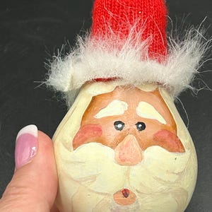 Santa gourd ornament