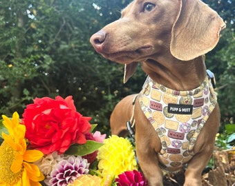 Dog Harness Biscuit Pupp & Mutt