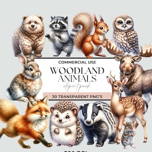 Woodland Animals Clipart Watercolor, Animalclipart, Woodlandanimals Clipart, Animated Cuteness Animal PNGs, Nursery Clipart, Nursery Decor