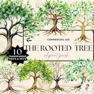 Aquarel boom met wortels illustraties mystieke oude levensboom kunst stamboom bos natuurlijke boomwortels ongewenste tijdschrift commercieel gebruik PNG JPG