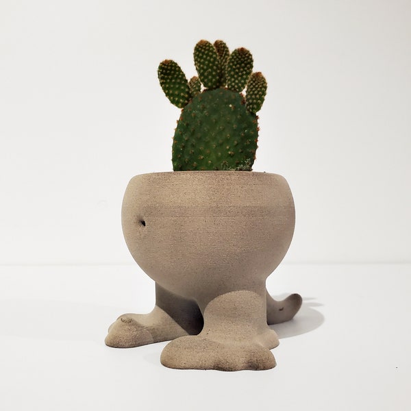 Mini Fun Planter/Plant Pot - Cactus Monster - 3D File for FDM Printing