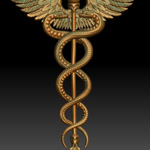 May include: A gold-coloured medical symbol with a snake wrapped around a staff with wings. The snake is coiled around the staff and has a round orb at the top.