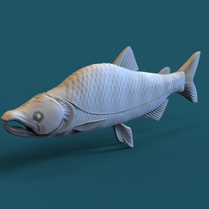 May include: A 3D model of a salmon fish, rendered in a light gray color. The fish is depicted in a swimming position, with its fins and tail spread out.