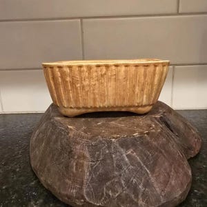 May include: A light brown ceramic planter with a ribbed design. The planter is oval shaped and has a slight curve to the bottom.