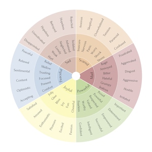 Feelings Wheel, Emotions Wheel, Mental Health Posters, Counselling Posters, Feelings Chart, Therapist Gift, Therapist Tools