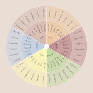 Feelings Wheel, Emotions Wheel, Mental Health Posters, Counselling Posters, Feelings Chart, Therapist Gift, Therapist Tools