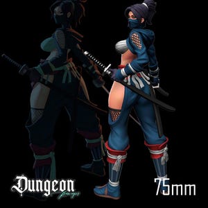 May include: A blue and white ninja figurine with a black mask and two swords. The figurine is 75mm tall and is part of the Dungeon Minis line.
