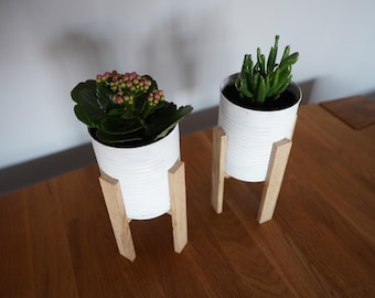 Peut inclure: Deux pots de fleurs cylindriques blancs avec des plantes, chacun sur un support en bois clair. L'un contient une plante avec des feuilles vertes et des bourgeons roses, l'autre une plante grasse verte. Les pots sont sur une surface en bois.