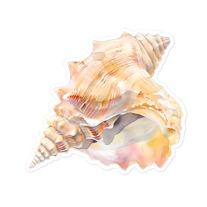 Puede incluir: Una gran concha de mar detallada con forma de espiral y color marrón claro y rosa. La concha tiene una superficie texturizada y un acabado brillante.