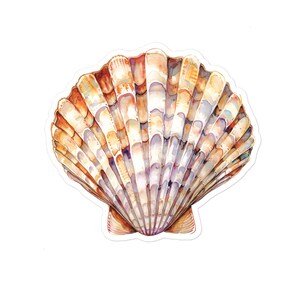 May include: A watercolor illustration of a fan-shaped scallop shell featuring a radial pattern of ridges. The shell displays a color palette of warm golden browns, soft oranges, and subtle violet-grey tones, with a white border outline.
