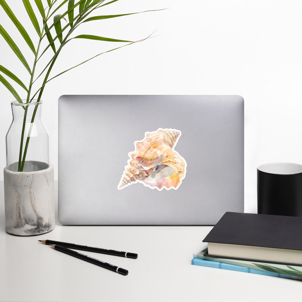 Shell Sticker Marine Ocean Sea Nature Aesthetic Watercolor Vinyl Decal ...
