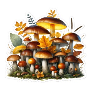 Pilz Aufkleber Wald Natur Waldästhetik Vinyl Laptop Planer Tagebuch Aufkleber Journal Dekor Wasserflasche Becher 26/05 MS1P05