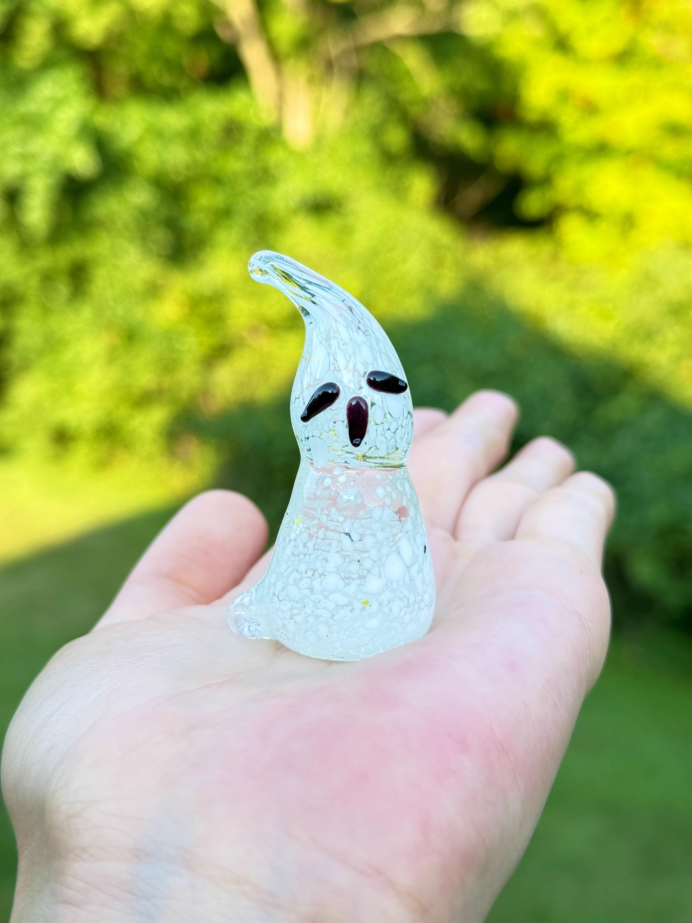 P. ghost ゴースト 株分品 P.ghost ゴースト 株分品