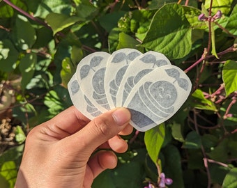 Plant Buddy Decal