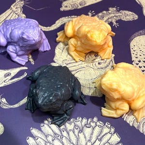 May include: Four frog figurines in different colors: purple, black, orange, and yellow. The frogs are sitting on a patterned surface.