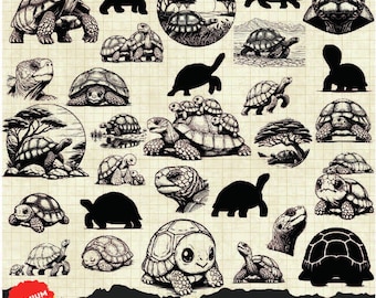30 Tortoise Svg Bundle, Tortoise Svg, Silhouette di tartaruga, Tortoise Clipart Png, File di taglio laser di tartaruga, Tartaruga carina Svg, Tartaruga Svg Png