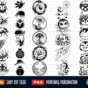 30 Pacchetto SVG coccinella, Coccinella Svg Png, Bug Svg, Insetto Svg, Scarabeo svg, Coccinella Taglio laser file Contorno Silhouette Clipart Stampa vettoriale